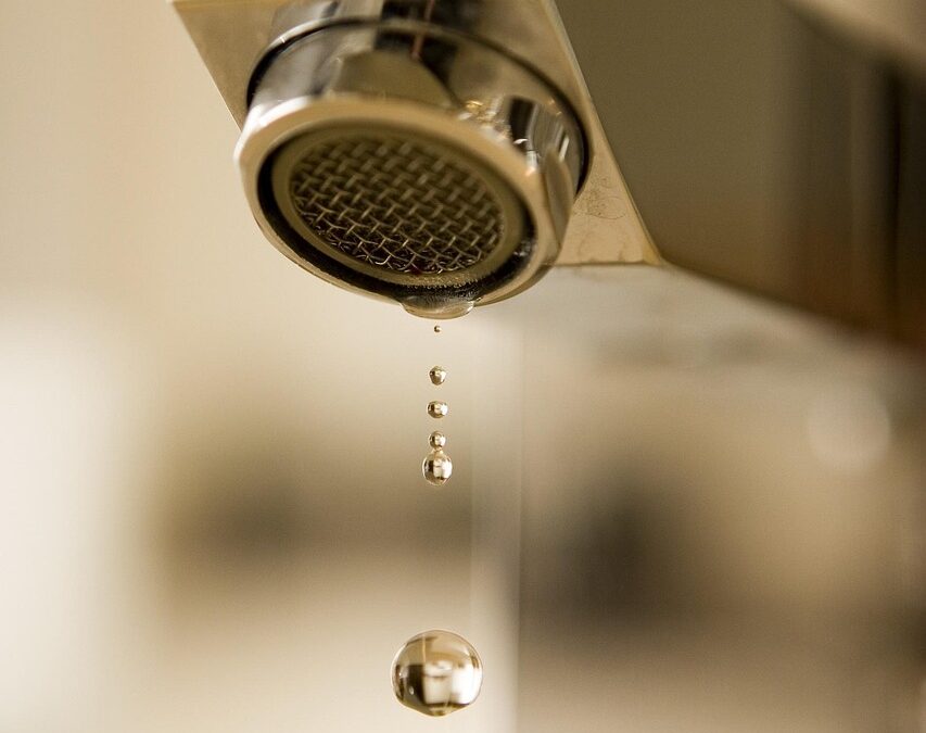 Waterproof Flooring For Bathrooms / Splash Zone Secrets: Get Ready…