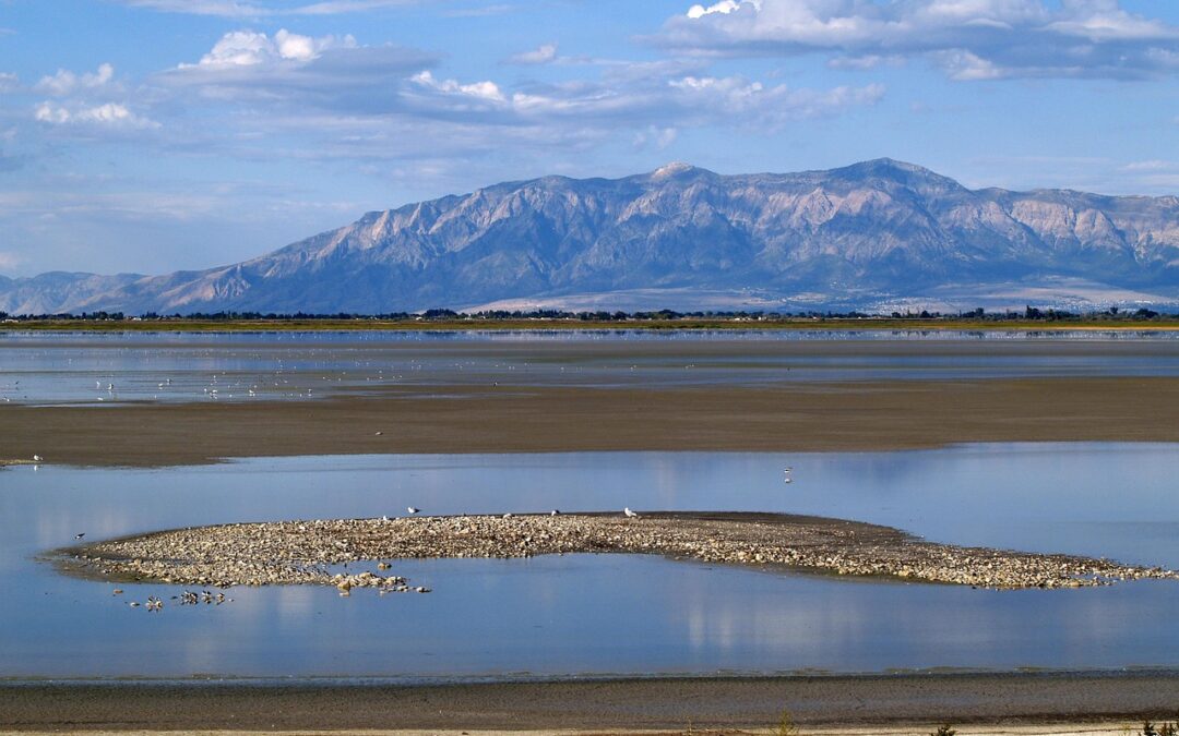 Salt Lake City Flooring Installers | Your Dream Floors Start…